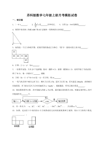 苏科版数学七年级上册月考模拟试卷12（含答案）