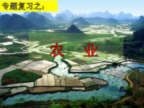 《第二节 农业》PPT课件5-鲁教版（五四制）地理七年级上册