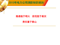 电厂消防培训
