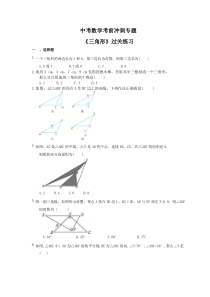 中考数学考前冲刺专题《三角形》过关练习（含答案）