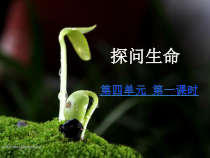 《探问生命》PPT课件3-七年级上册道德与法治部编人教版