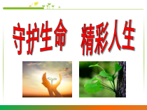 《珍视生命》PPT课件1-七年级上册道德与法治部编人教版