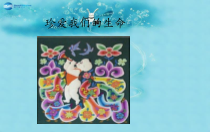 《珍视生命》PPT课件3-七年级上册道德与法治部编人教版