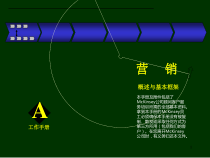 某咨询营销咨询手册(1)