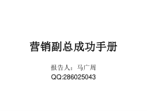 营销副总成功手册