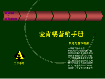 营销经典__某咨询营销手册