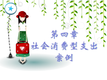社会消费型支出案例分析