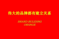 神州数码整合行销推广方案 (3)