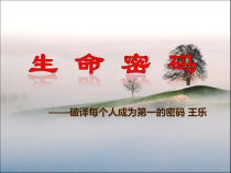 生命密码销售3