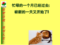生猪预混料销售