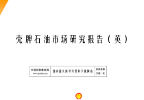 石油市场研究报告
