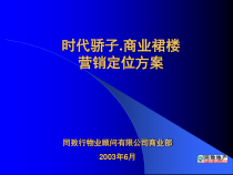 时代骄子商业裙楼营销定位
