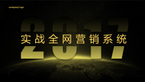实战全网营销系统概述