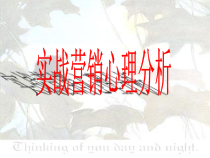 实战营销心理分析