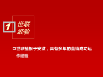世联淮南信谊营销阶段技术标