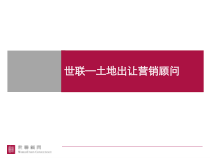 世联土地出让营销顾问
