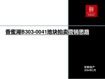 世联－香蜜湖B303-0041地块拍卖营销思路