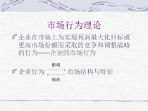 市场行为理论