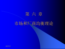 市场和厂商均衡理论课程