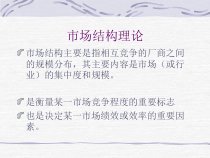 市场结构理论