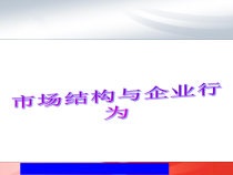 市场结构与企业营销知识行为