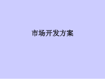 市场开发方案