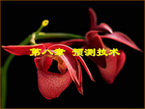 市场销售预测技术