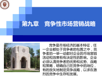 市场营销ch9天大