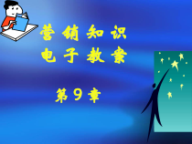 市场营销第9章ppt