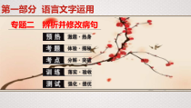 (全国版)高考语文一轮复习专题2《辨析并修改病句》课件(含详解)