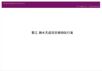 御水天成营销执行案