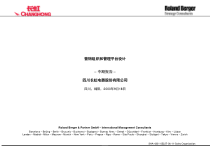长虹电器公司营销组织的总体框架