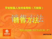 智盈人生及万能组合销售方法