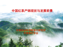中国红茶产销现状与发展前景_XXXX-06-22