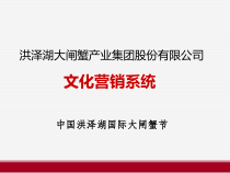 中国洪泽湖国际大闸蟹节文化营销系统