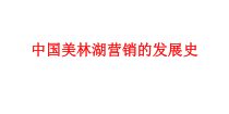 中国美林湖营销的发展史