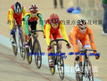 中国自行车营销环境分析