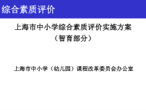 中小学综合素质评价实施方案