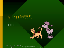 专业行销技巧