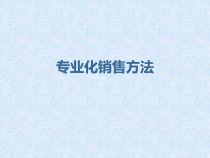 专业化销售方法概述