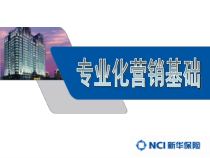 专业化营销基础概述
