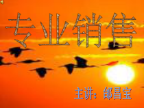 专业销售