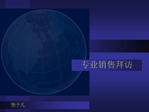 专业销售拜访