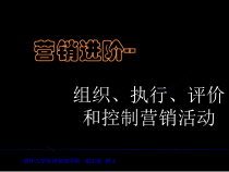 组织执行评价与控制营销