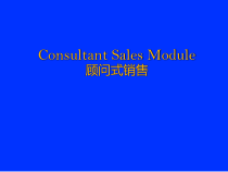 最翔实的顾问式销售资料