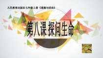 第八课《探问生命——敬畏生命》PPT课件1-七年级上册道德与法治部编人教版