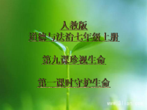 第九课《珍视生命——守护生命》PPT课件1-七年级上册道德与法治部编人教版