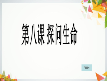 第八课《探问生命——敬畏生命》PPT课件3-七年级上册道德与法治部编人教版