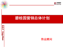 (北京房山)某地产2期营销