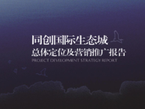 《同创国际生态城》总体定位及营销(二)